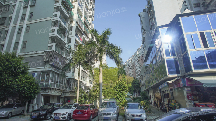 滨海森林外景图