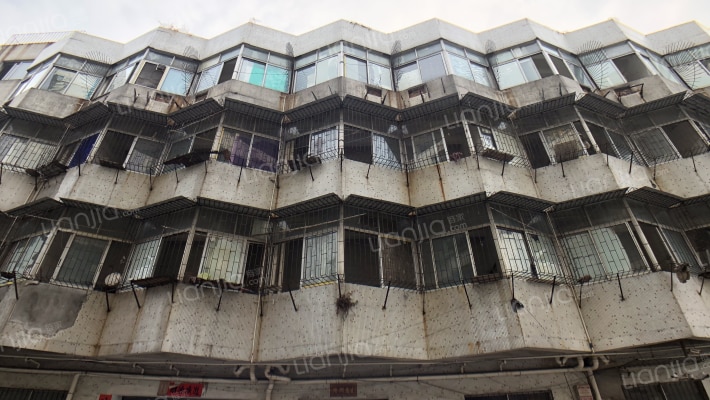 张槎三路外景图