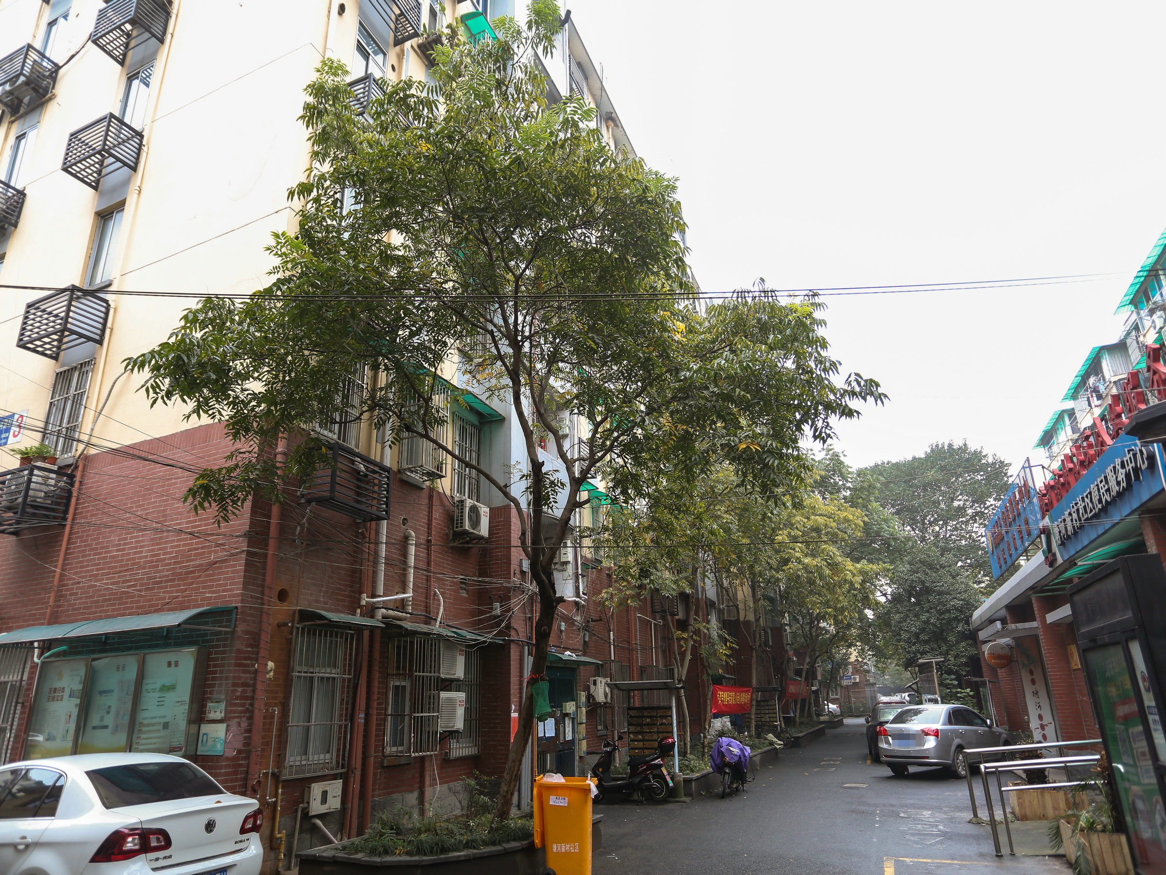 Tanghe Xincun compound photo 14