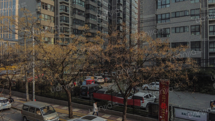 爱菊佳园外景图