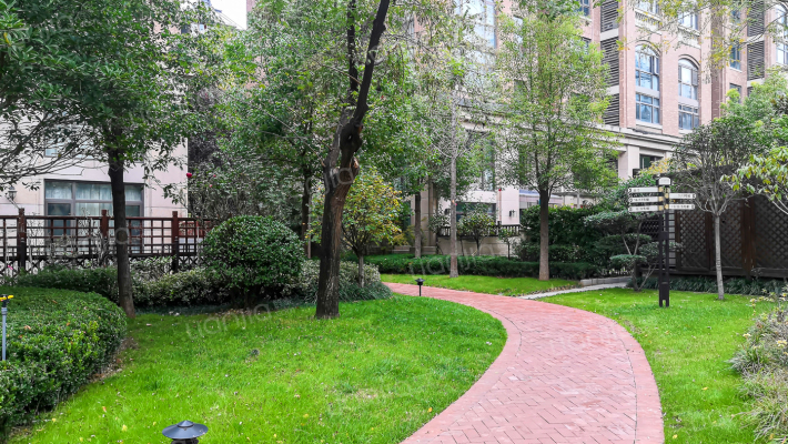 银河丹堤外景图