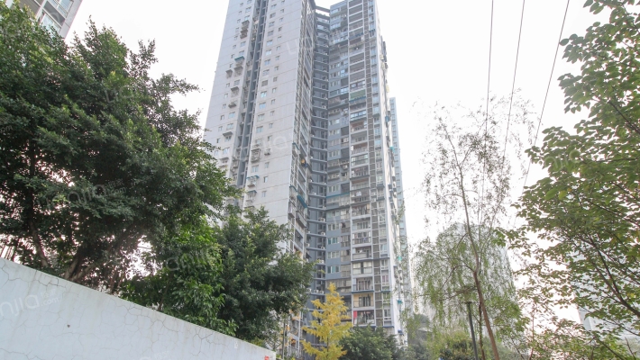 畔山桃园外景图