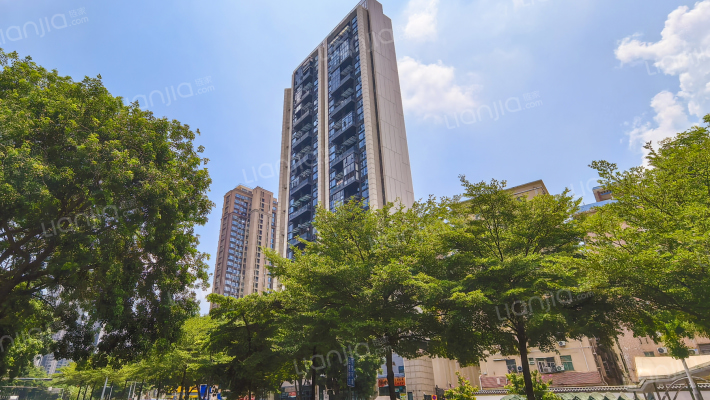 同创华著外景图