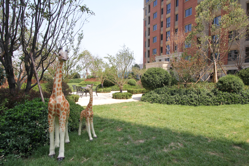 中康绿城百合花园相册