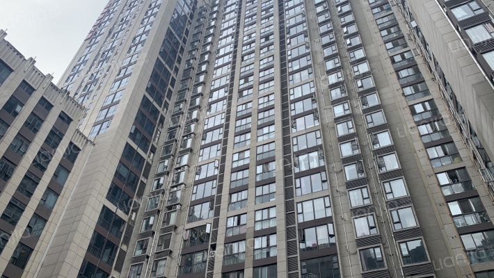 牡丹云锦外景图