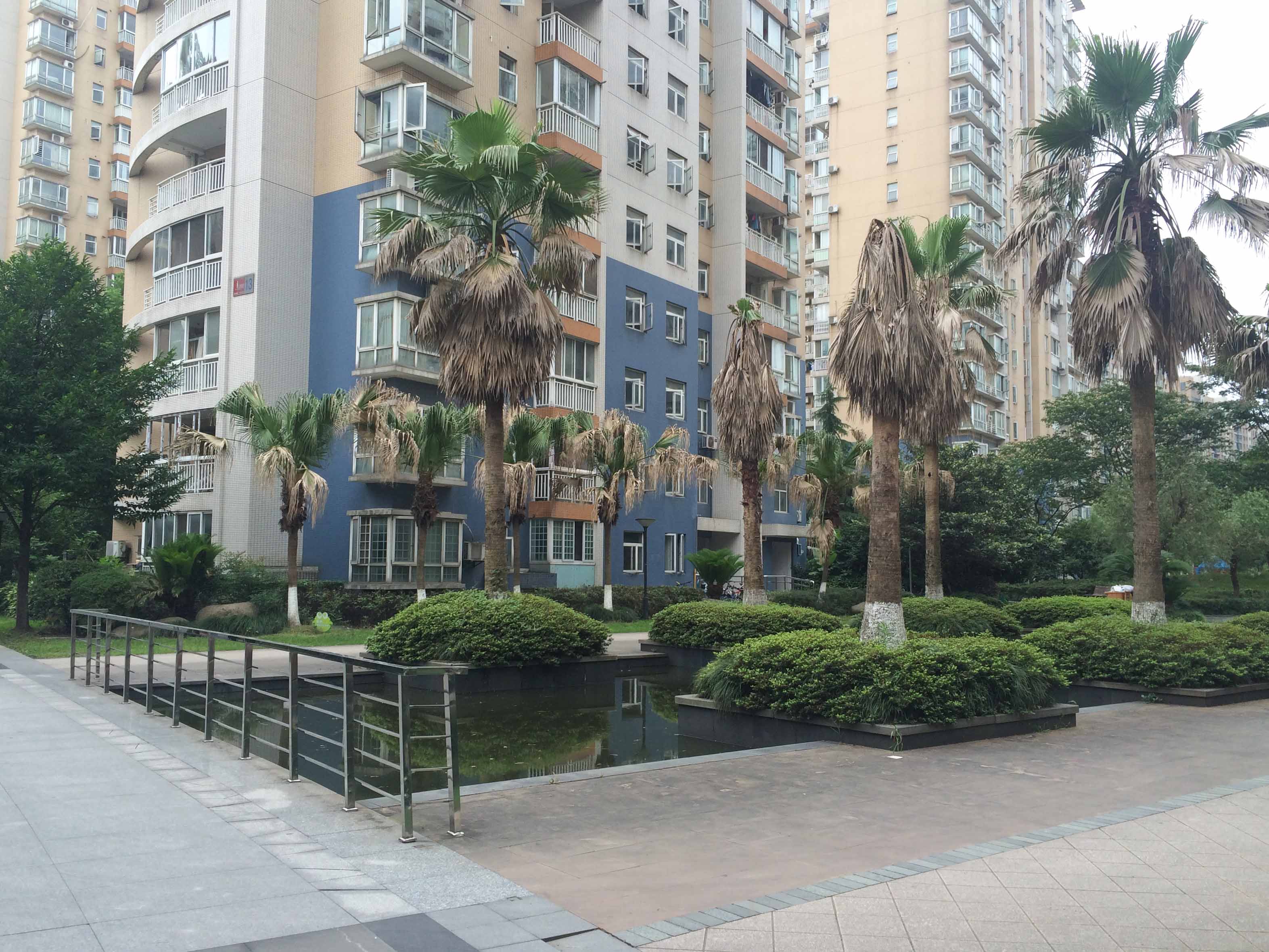 江南豪园小区实景 7