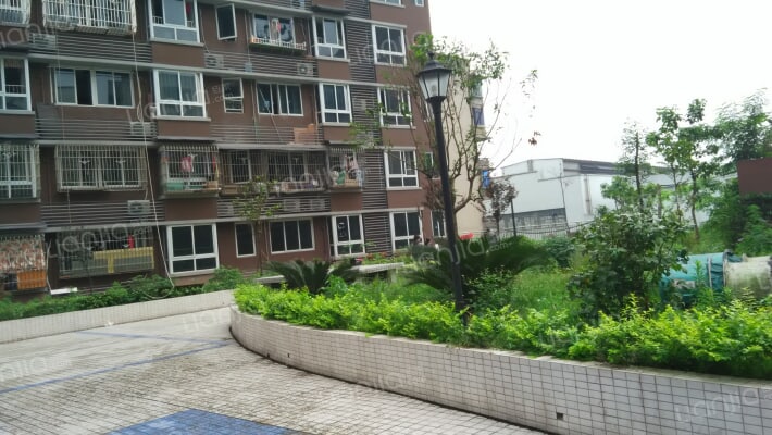 天生上品外景图