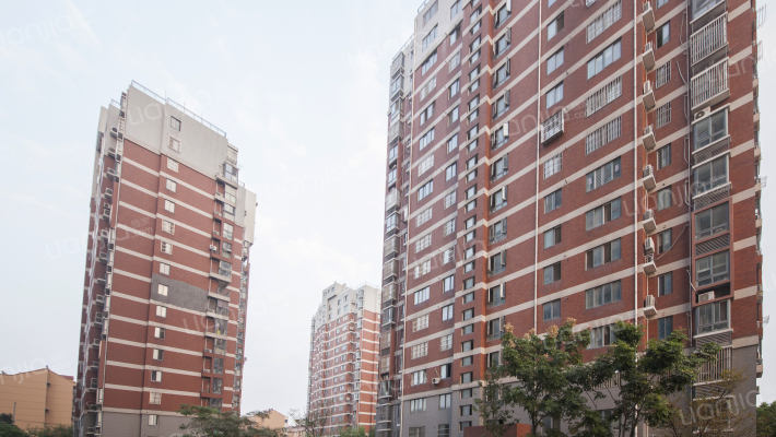 金陵天成外景图