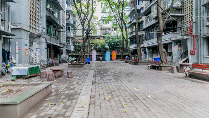 长江支路外景图