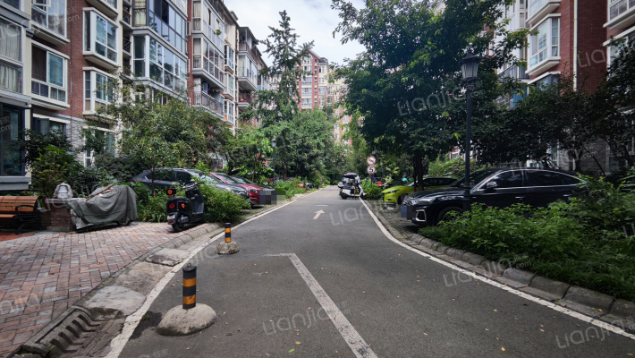 英国小镇彩舞园外景图