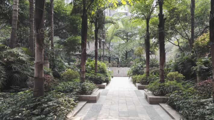 富丽碧蔓汀外景图