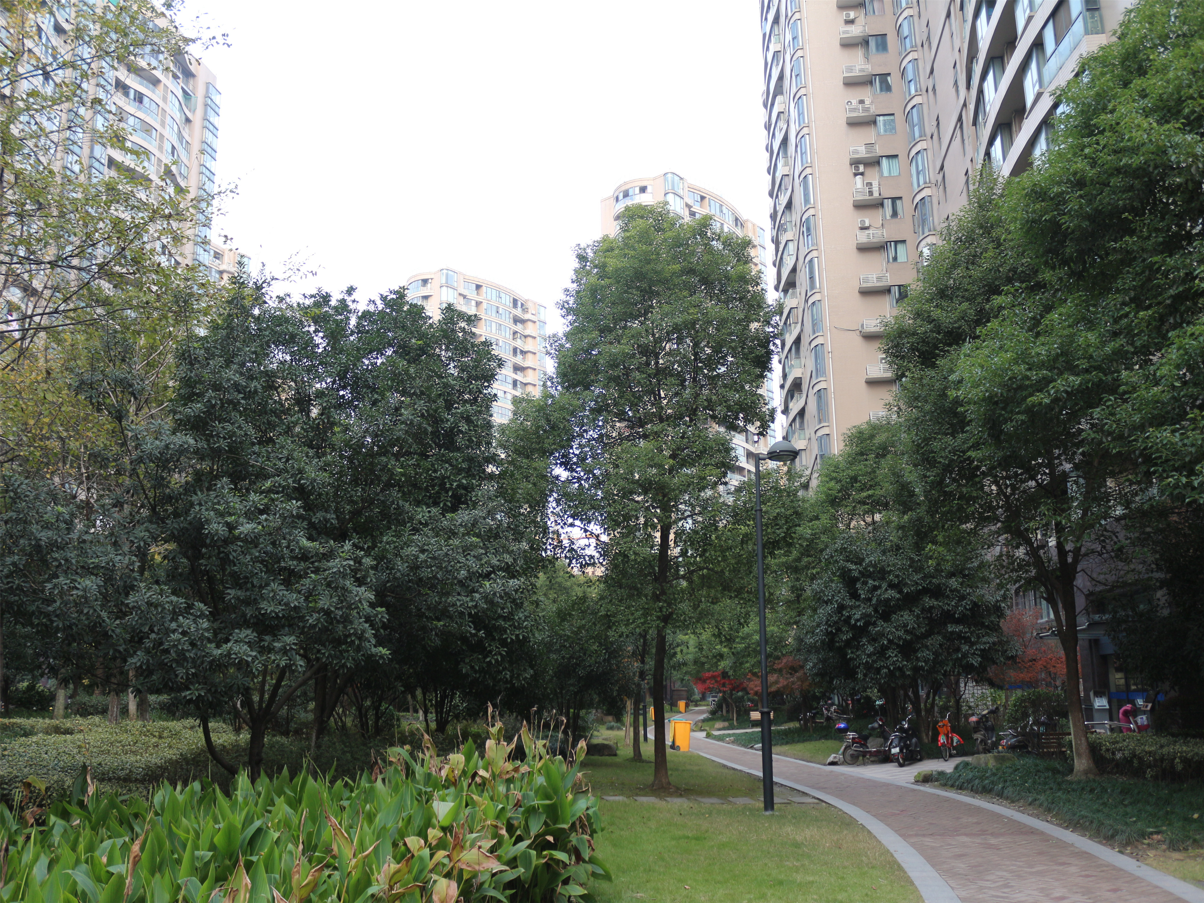 耀江文鼎苑 小区实景 11