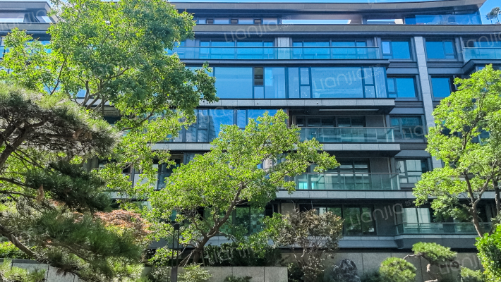 世纪金源紫檀南长里外景图