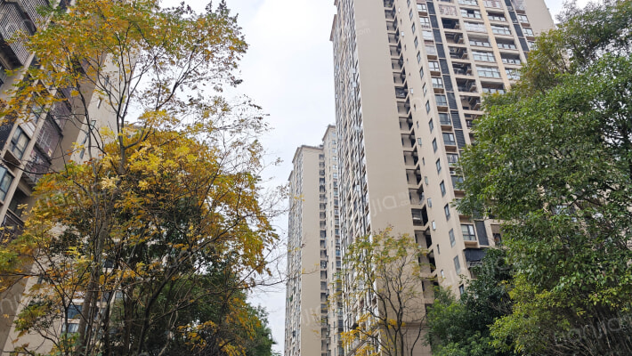 南山绿庭B区外景图