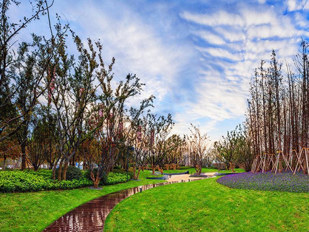 郑地美景东望相册