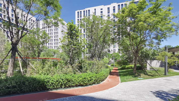 艾迪公园外景图