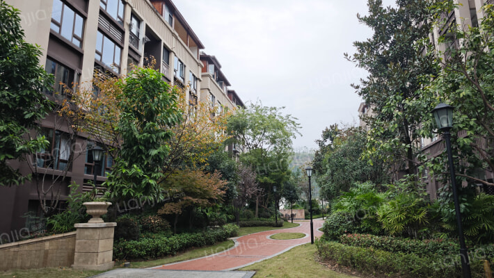 星光上院一期外景图