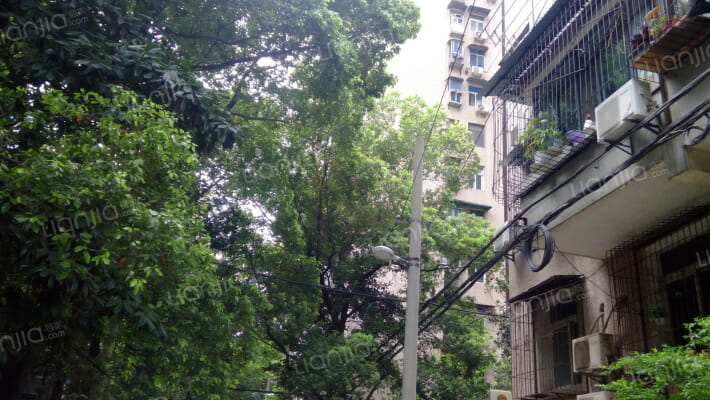 长江委酒宝荡小区(惠济路53号)外景图