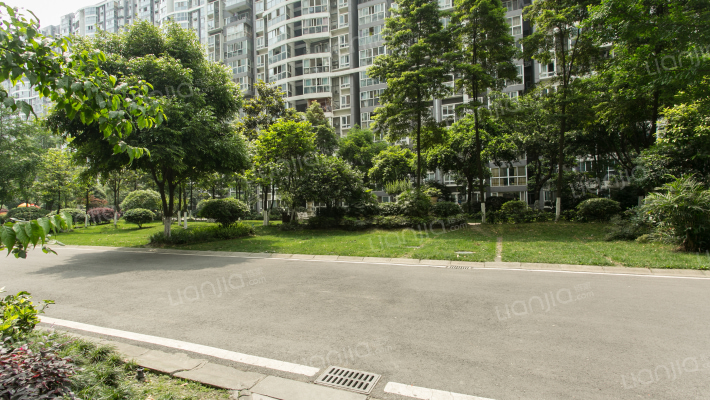 蓝光圣菲TOWN城外景图