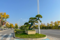 未来之家户型图实景图