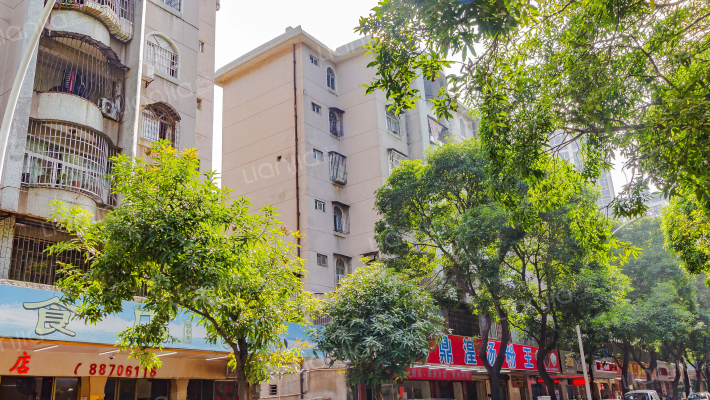 湖滨中路外景图