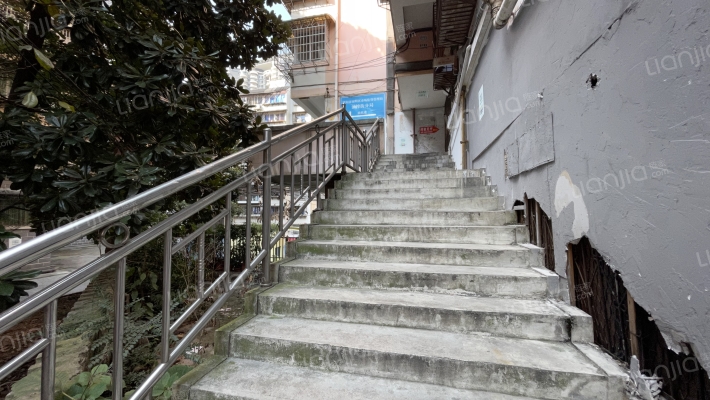 蓑草路52号外景图