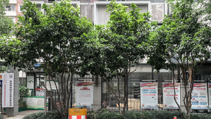 新湖明珠城（一二期）外景图