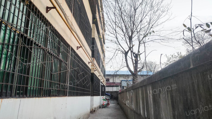 粮站小区外景图