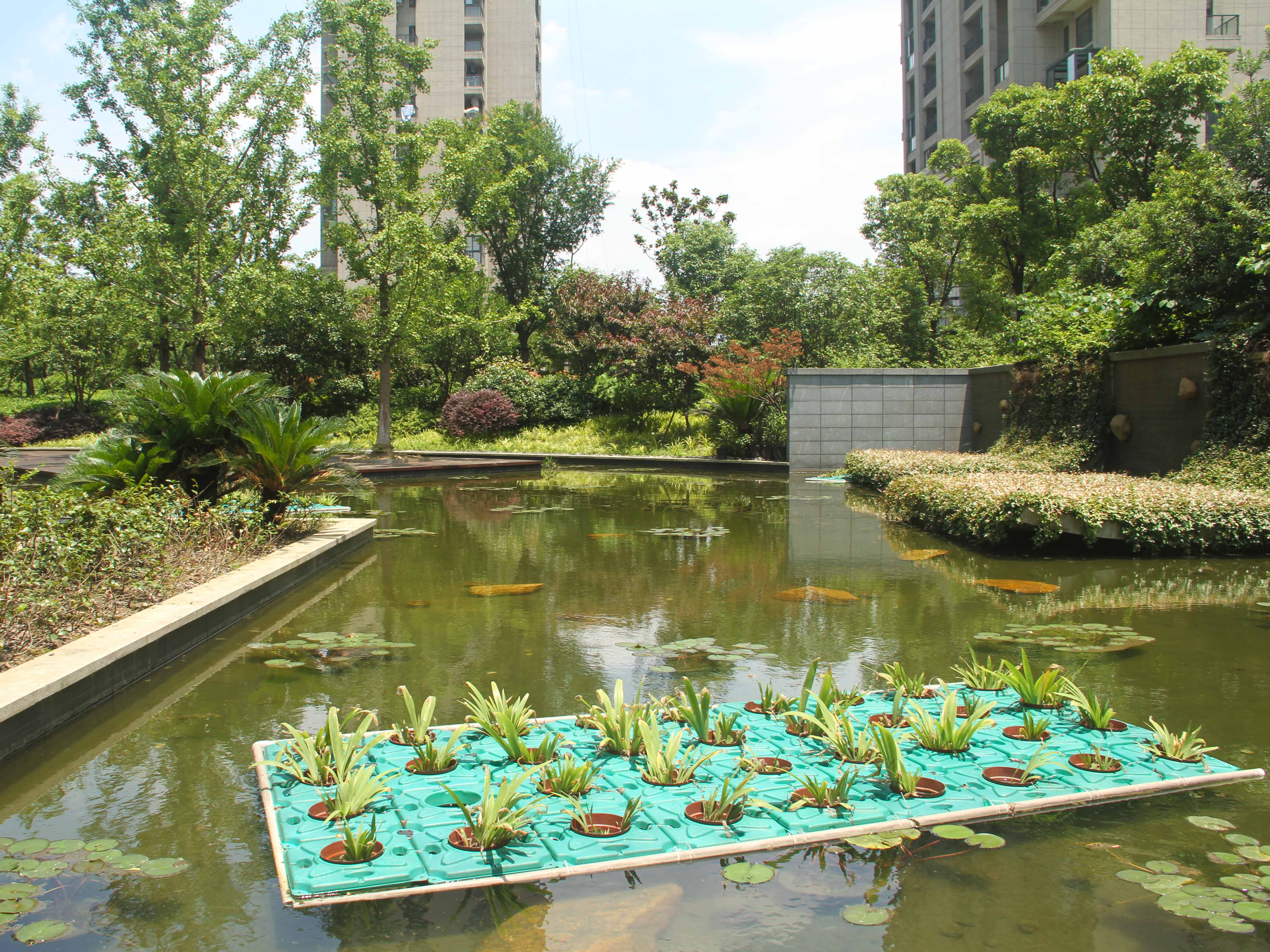 寰宇天下小区实景 13