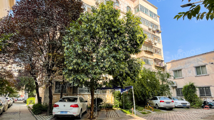 邮电大学杏园小区家属院外景图