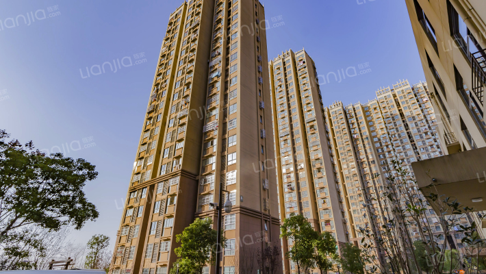 金葡萄家园B区(圩新)外景图