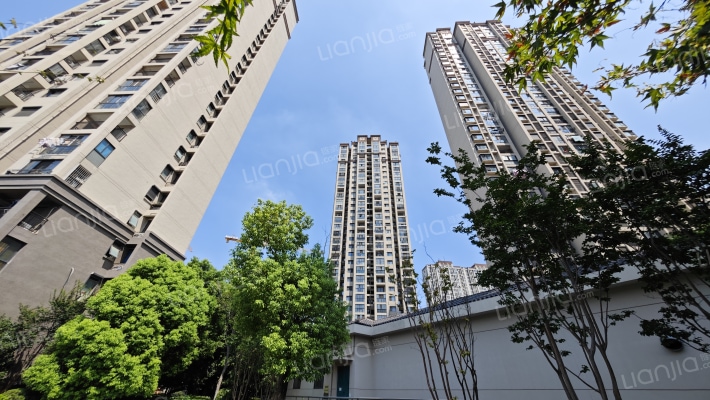 芦村家园外景图