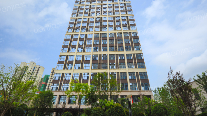 保惠蜂鸟外景图