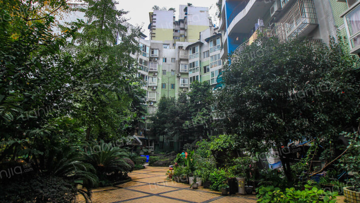 东方紫竹苑外景图