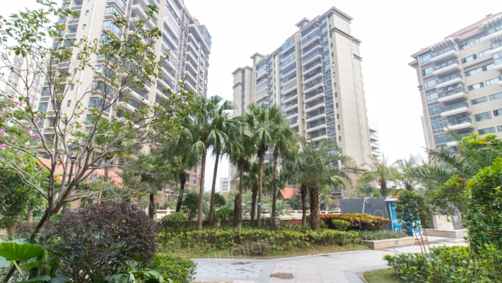 诚丰新园外景图