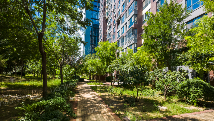 影人峰汇外景图