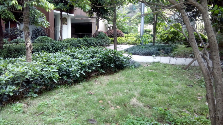 大鼎世纪滨江外景图