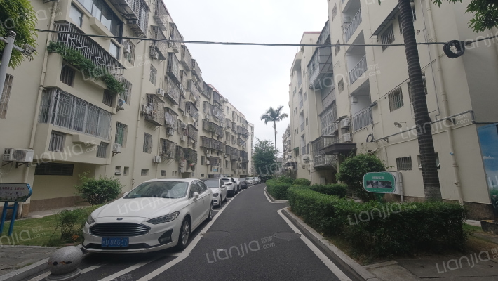 海沧生活区一小区外景图