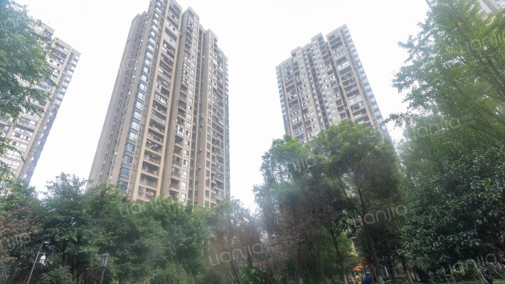 金辉城花样派外景图