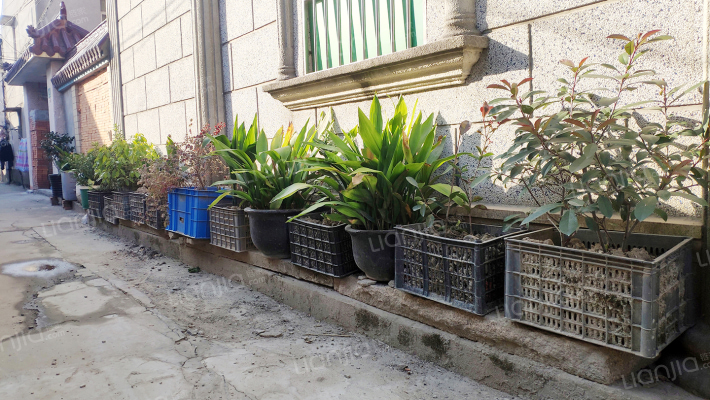 沙北新村99-100号外景图