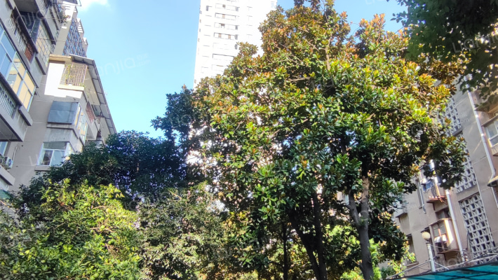 军休四中心外景图