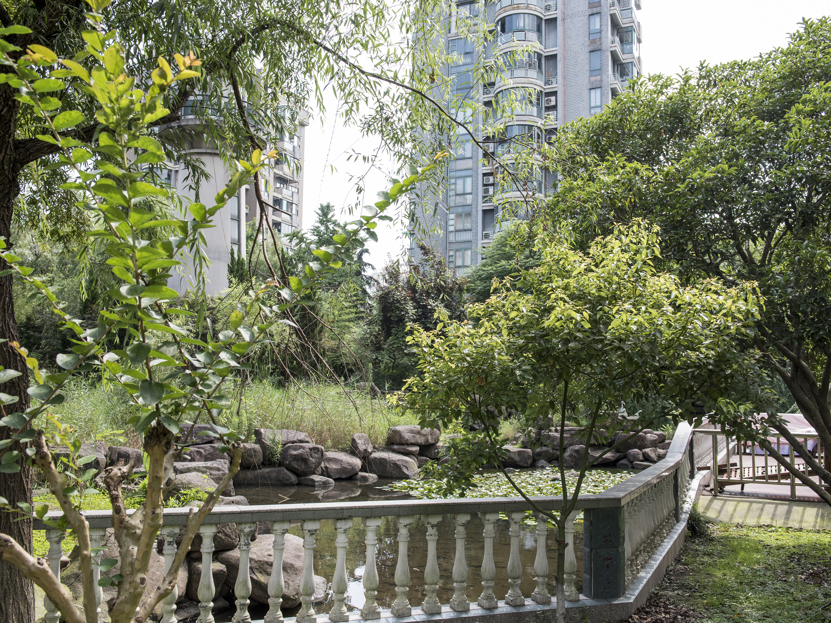 Wanjia Garden compound photo 24
