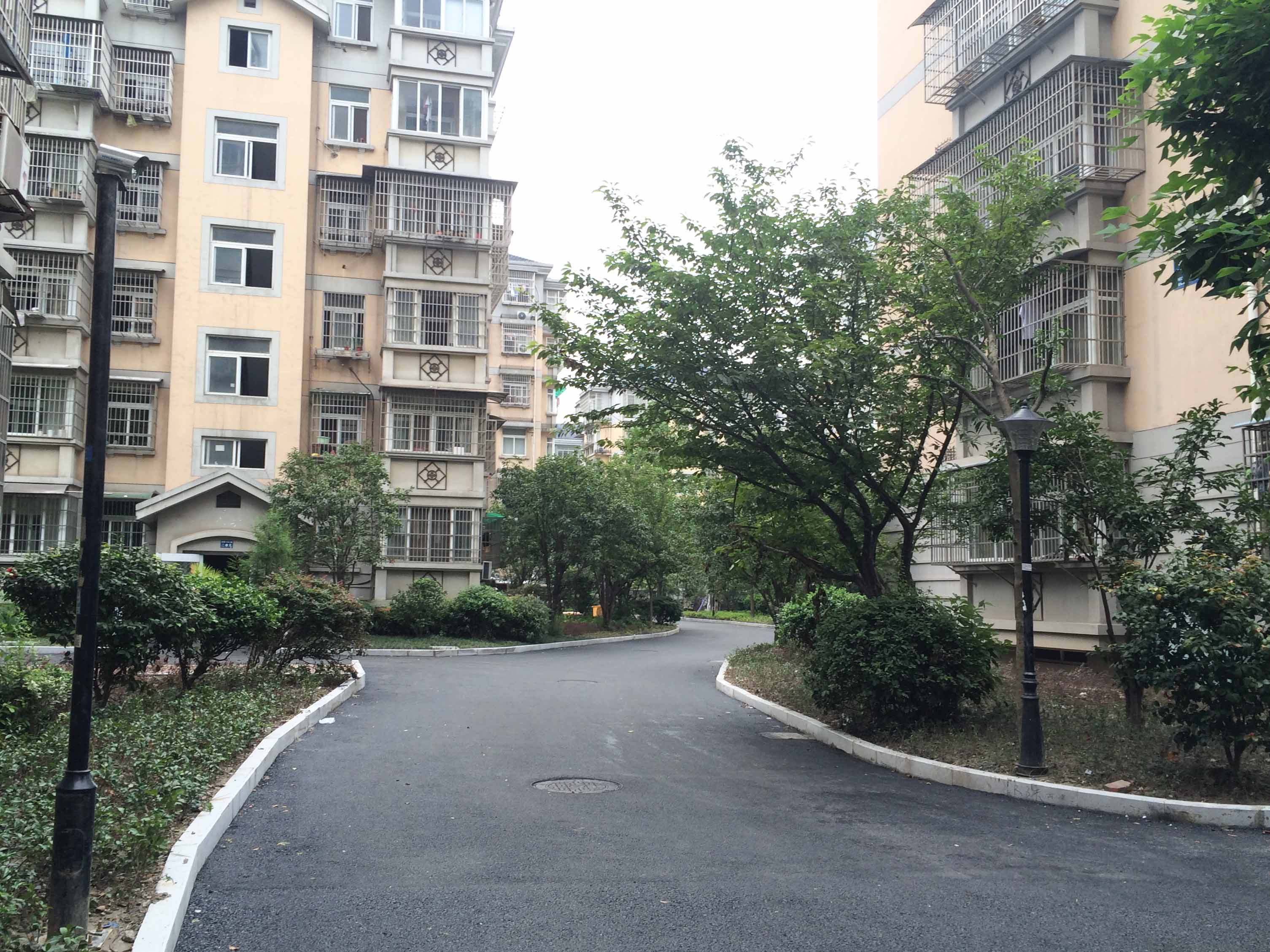 迎春小区小区实景 3