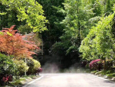 青霞山水卡伦德拉小镇实景图