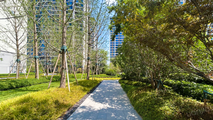 保利·锦上外景图