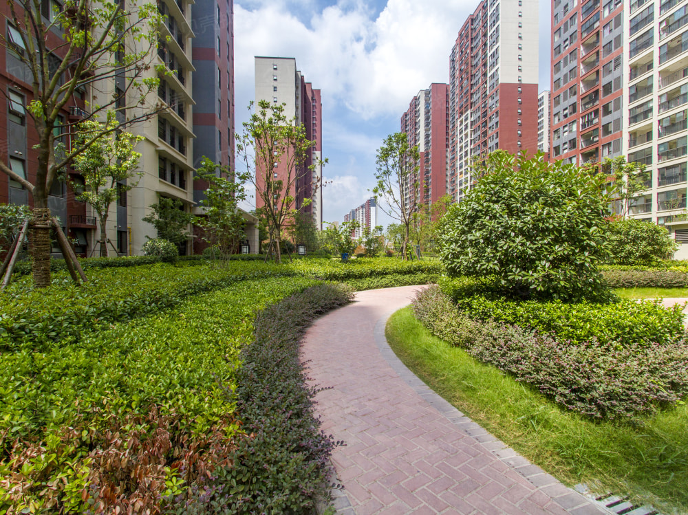 万科公园大道相册