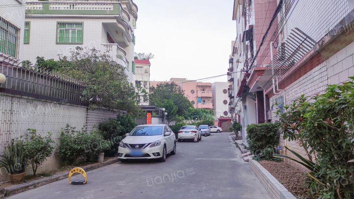 大维街36号外景图