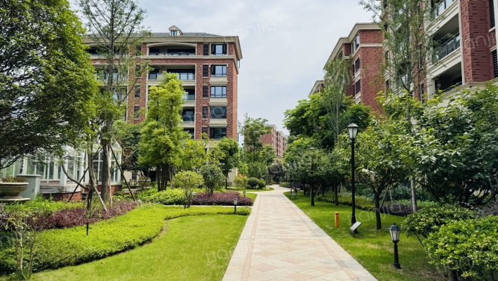 富州平顶山58号北区外景图