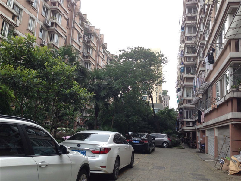 嘉绿苑南小区实景 18