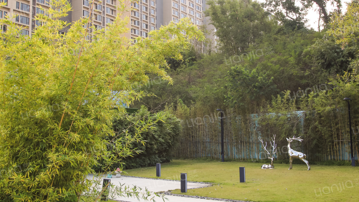 保利远洋领秀山外景图